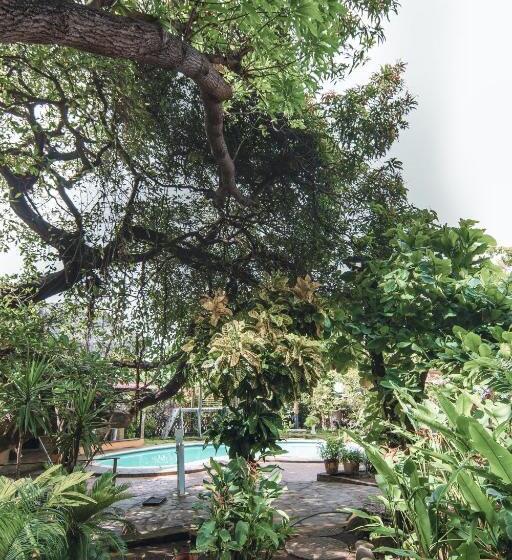 غرفة ديلوكس ثلاثية, Esencia Nativa