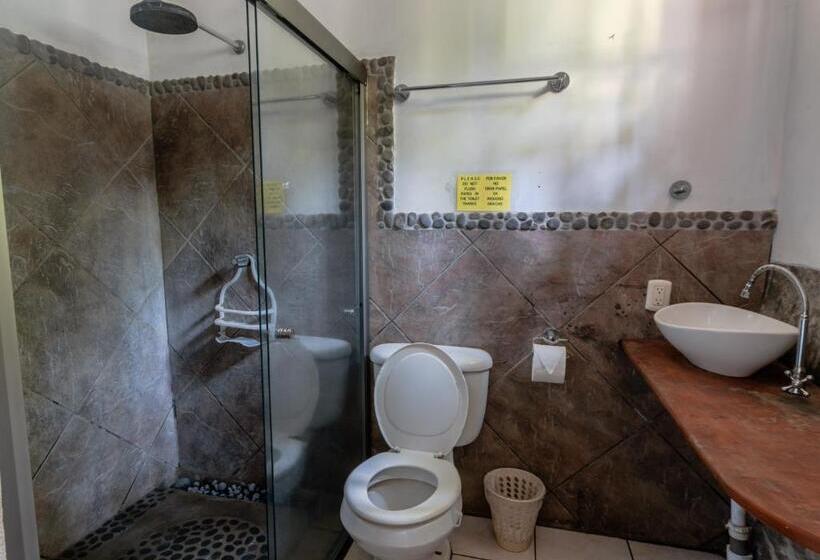 غرفة قياسية, Esencia Nativa