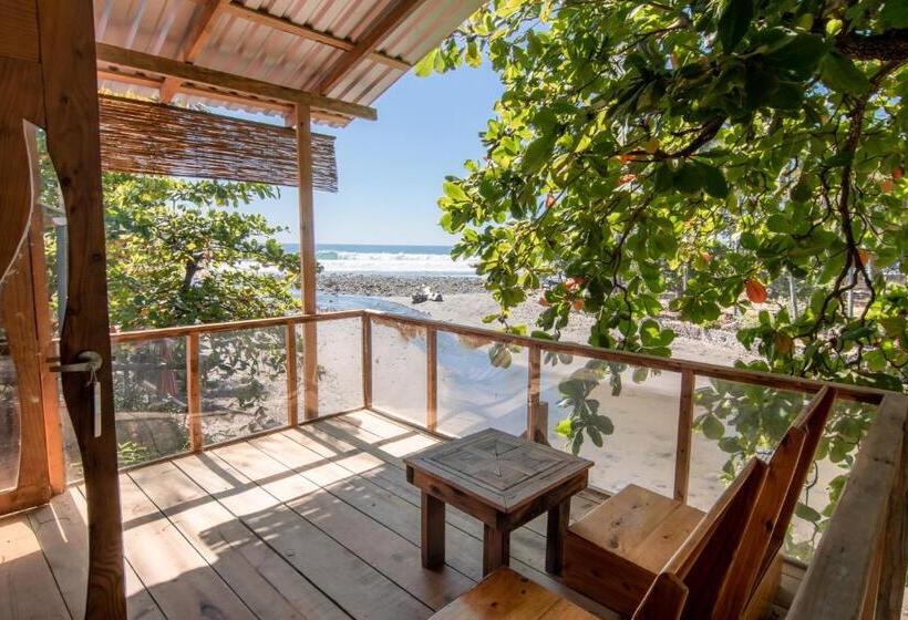 Triple Room Sea View, Esencia Nativa