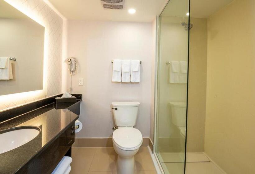 스탠다드 룸 킹사이즈 침대, Comfort Inn & Conference Centre Toronto Airport
