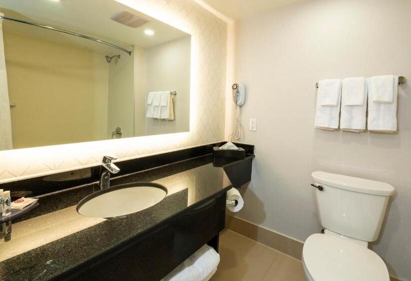 스탠다드 룸, Comfort Inn & Conference Centre Toronto Airport