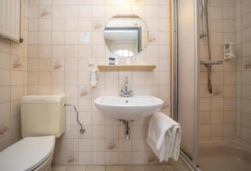 غرفة أساسية, Fletcher Hotel Restaurant De Geulvallei