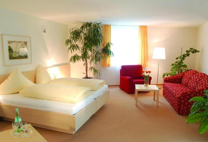 컴포트 싱글 룸, Landhotel Allgäuer Hof