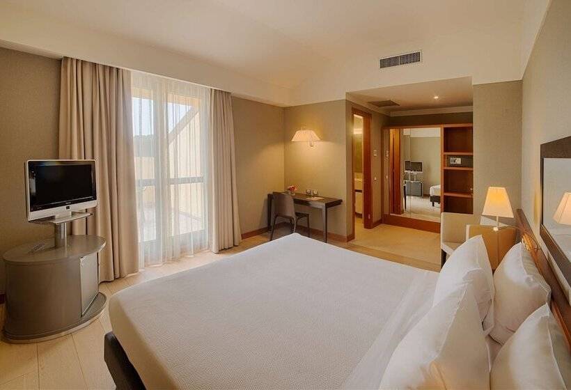 スタンダードルーム, NH Linate