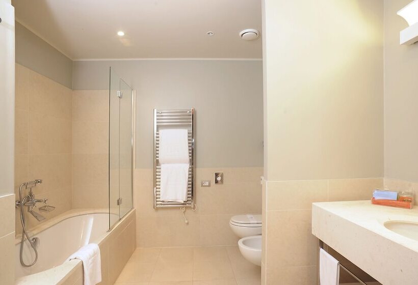 スタンダードルーム, NH Linate