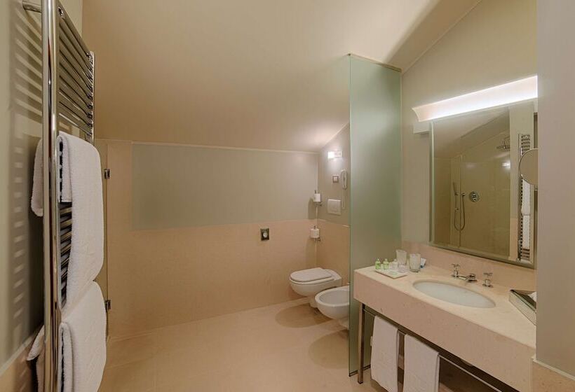 スタンダードルーム, NH Linate