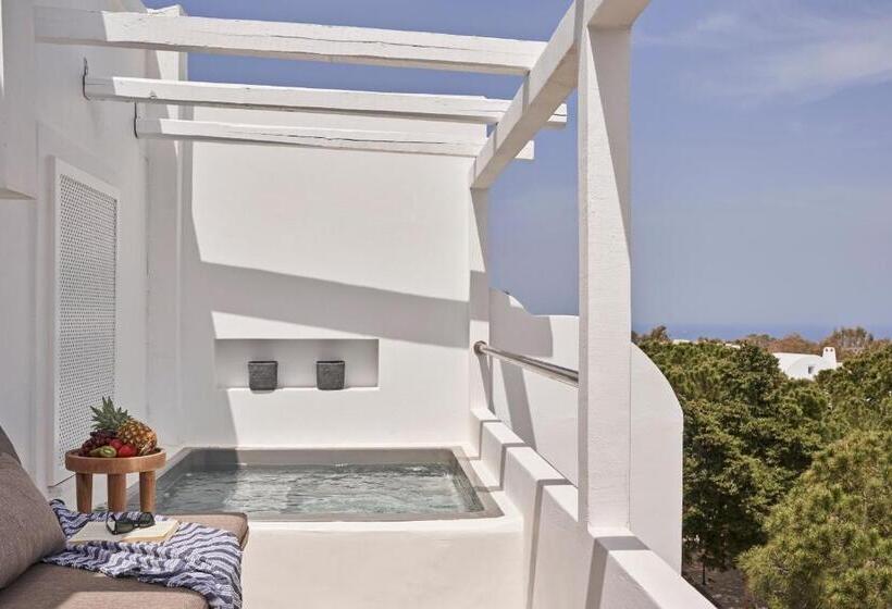 프리미엄 룸, Loizos Stylish Residences