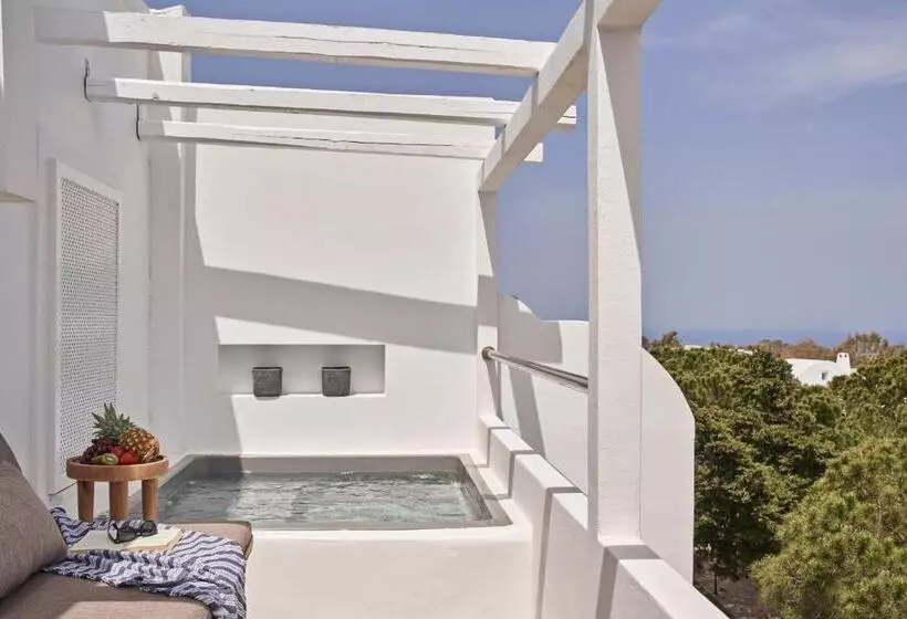 اتاق پرمیوم, Loizos Stylish Residences