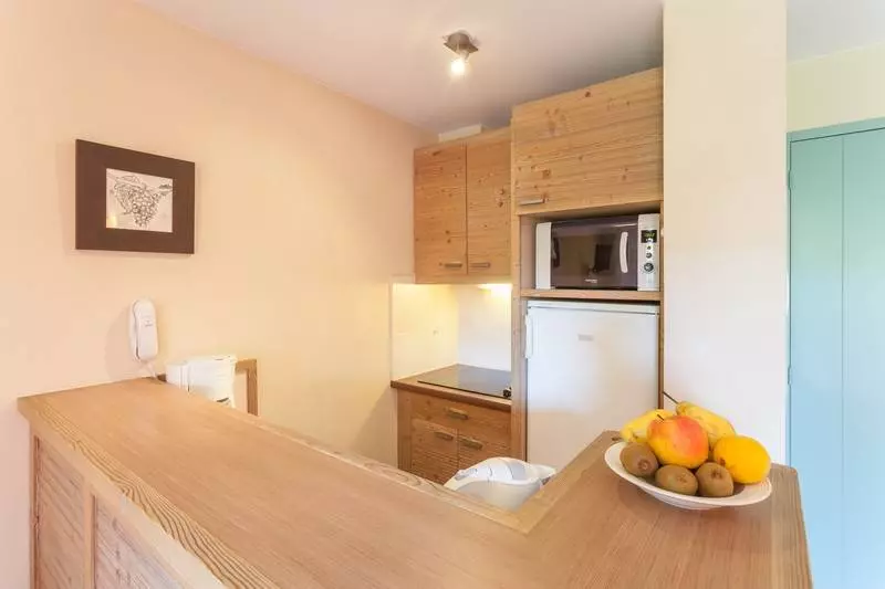 آپارتمان 1 خوابه, Residence Pierre & Vacances Le Clos D Eguisheim