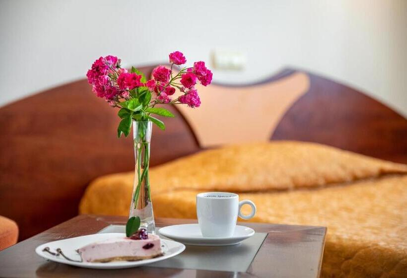 스탠다드 싱글 룸, Adamo