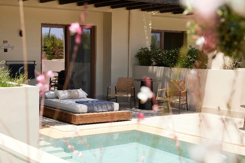 جناح مزود بحمام سباحة, Asterion Suites & Spa   Designed For Adults