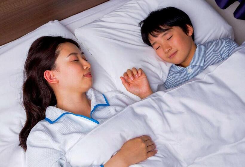 Номер Стандарт, Comfort Hotel Nara