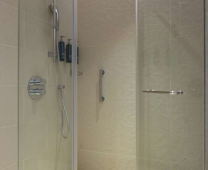 Стандартный Номер Кровать Кинг, Hilton Evianlesbains