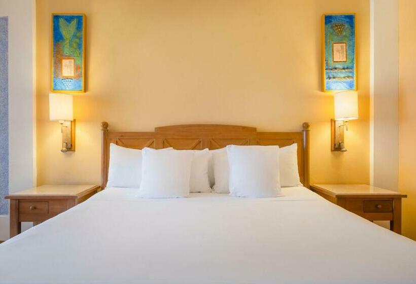 スタンダードルーム, Iberostar Selection Paraíso Lindo