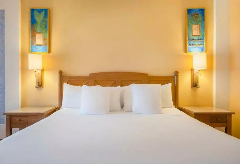 اتاق استاندارد, Iberostar Selection Paraíso Lindo