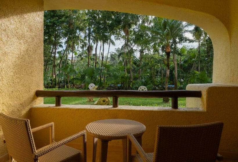 غرفة قياسية, Iberostar Selection Paraíso Lindo