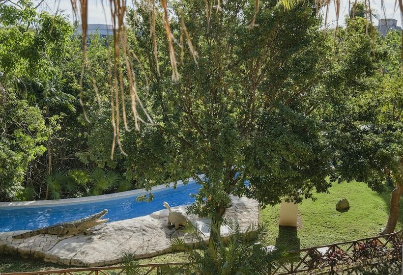 غرفة قياسية, Iberostar Selection Paraíso Lindo