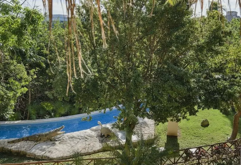 اتاق استاندارد, Iberostar Selection Paraíso Lindo