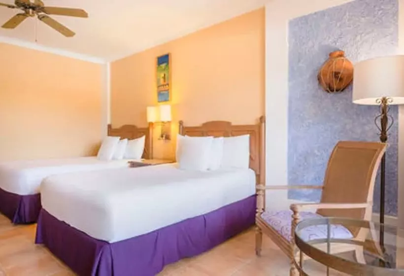 اتاق اکونومی, Iberostar Selection Paraíso Lindo