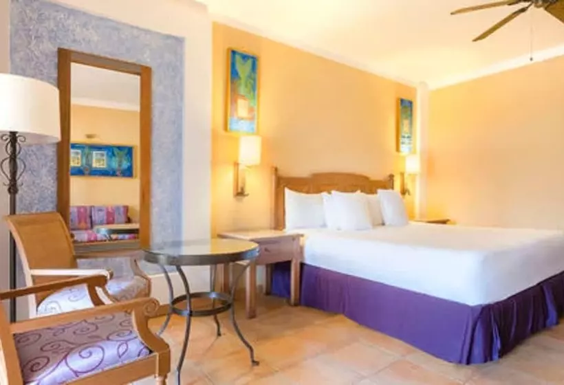 اتاق اکونومی, Iberostar Selection Paraíso Lindo