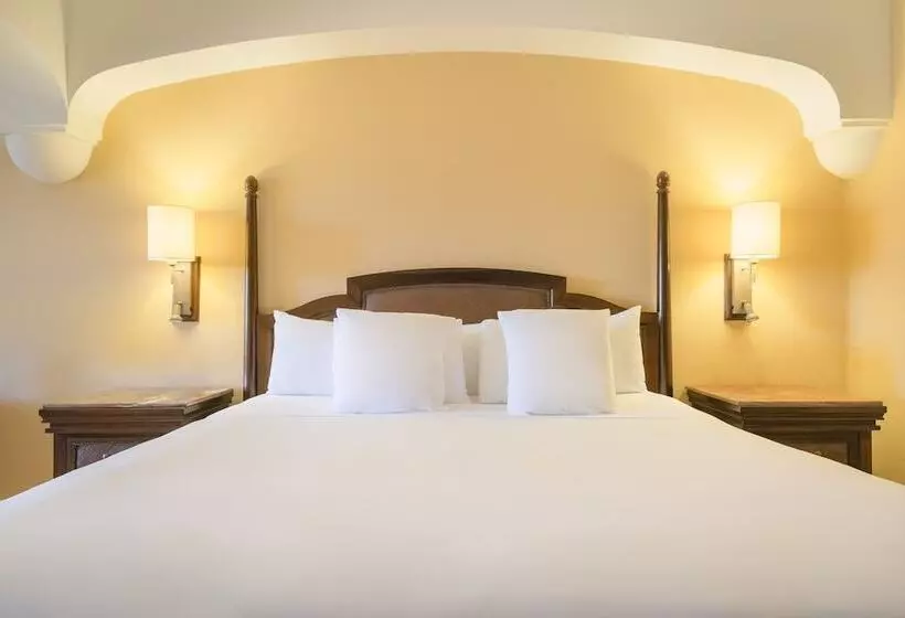 سوییت جونیور, Iberostar Selection Paraíso Lindo