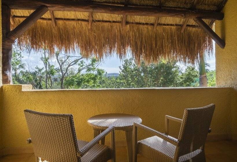 スタンダードルーム, Iberostar Selection Paraíso Lindo