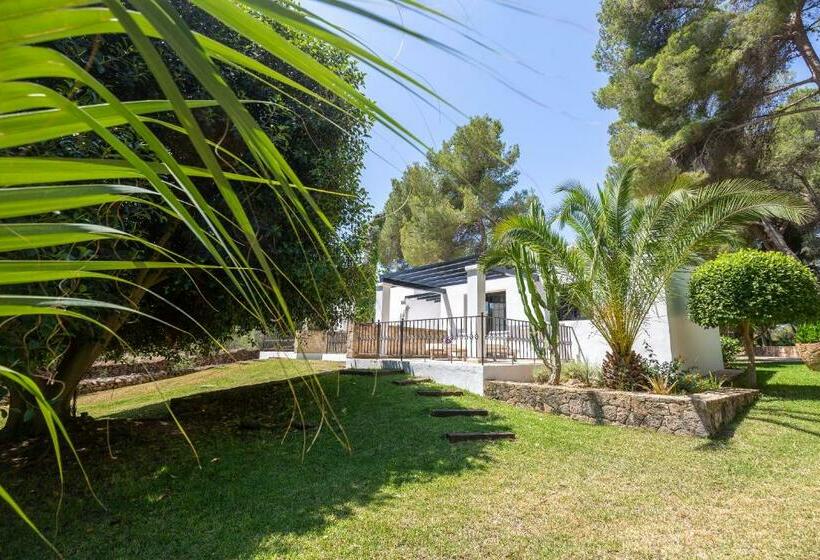 اتاق استاندارد, Agroturismo Sa Talaia Adults Only