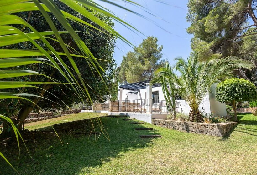 اتاق استاندارد, Agroturismo Sa Talaia Adults Only