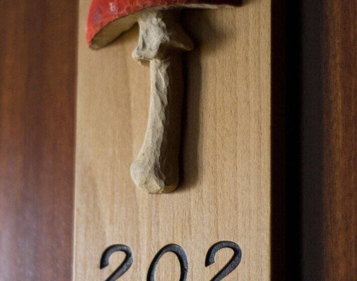 Номер Стандарт, Saueth