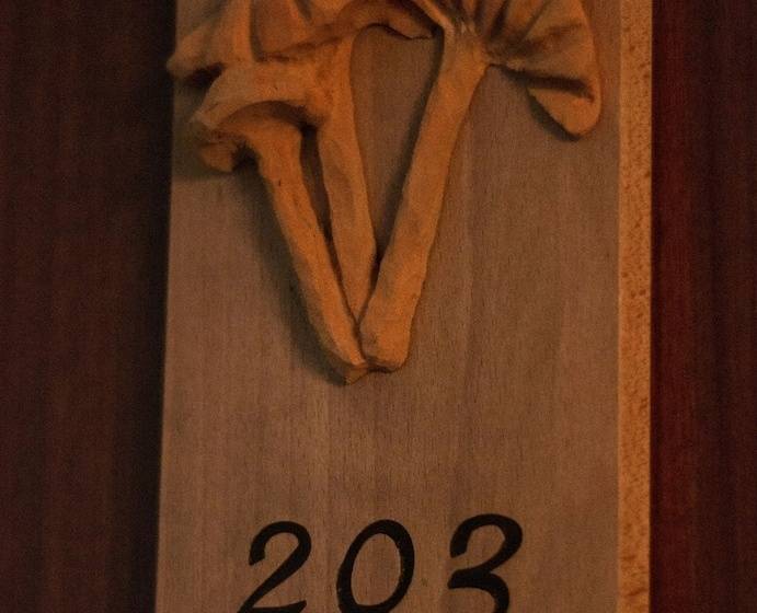 Номер Стандарт, Saueth