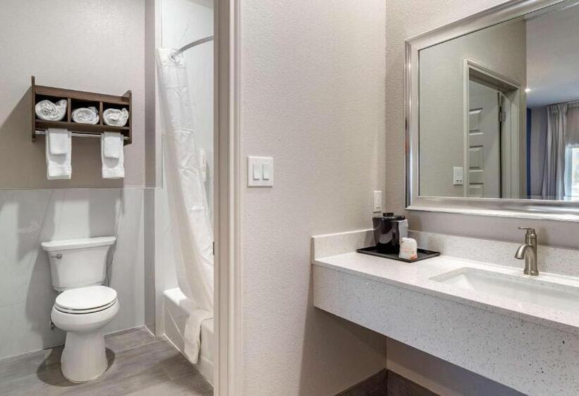 스탠다드 룸 킹사이즈 침대, Clarion Pointe Port Arthur Beaumont South