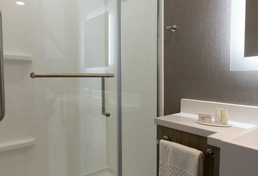 带大床的套房, Springhill Suites By Marriott Slidell