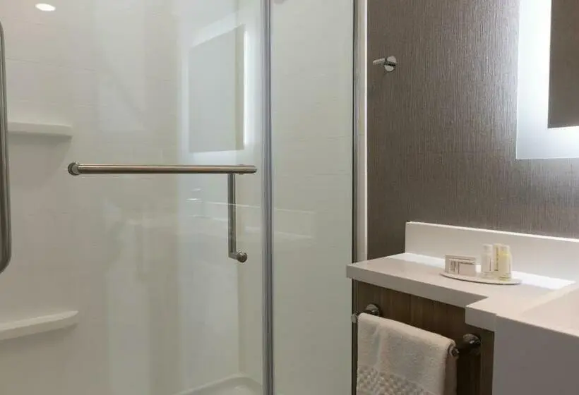 キングサイズベッドのスイートルーム, Springhill Suites By Marriott Slidell