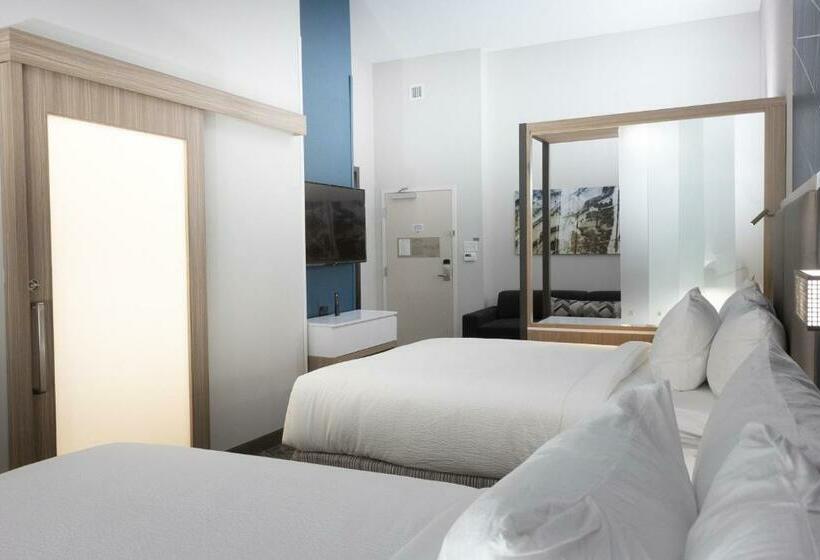 Люкс, Springhill Suites By Marriott Slidell