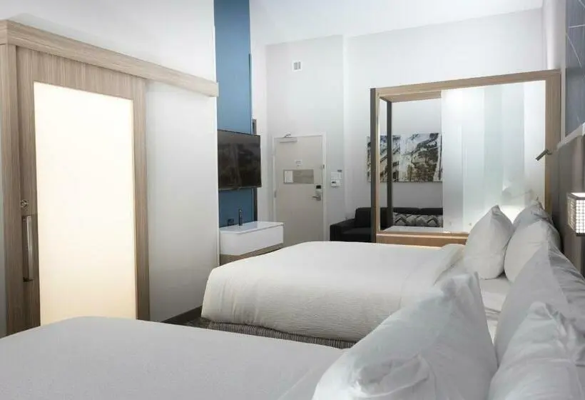 スイート, Springhill Suites By Marriott Slidell