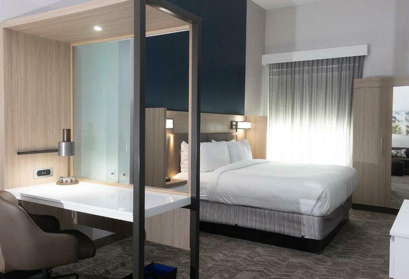 带大床的套房, Springhill Suites By Marriott Slidell