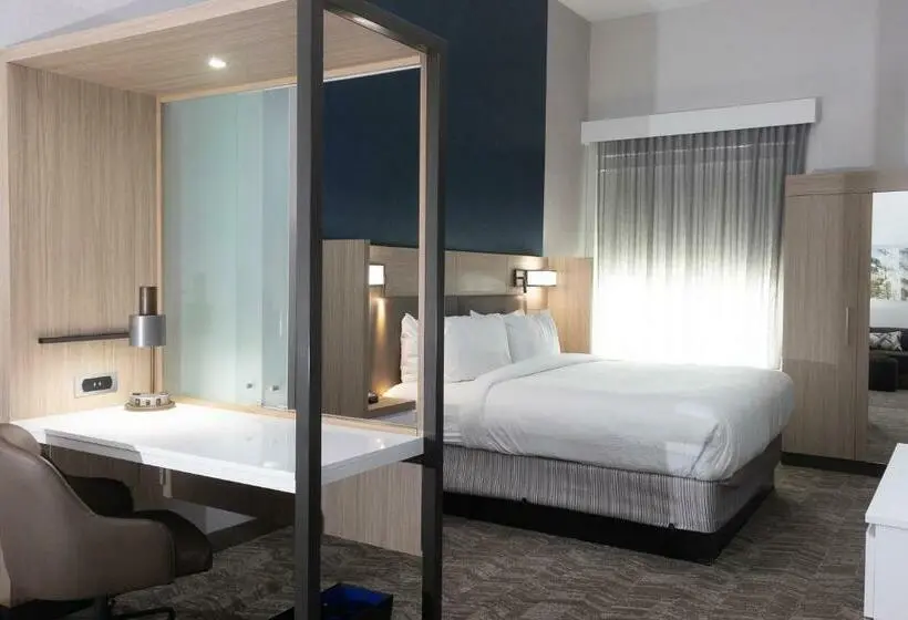 キングサイズベッドのスイートルーム, Springhill Suites By Marriott Slidell