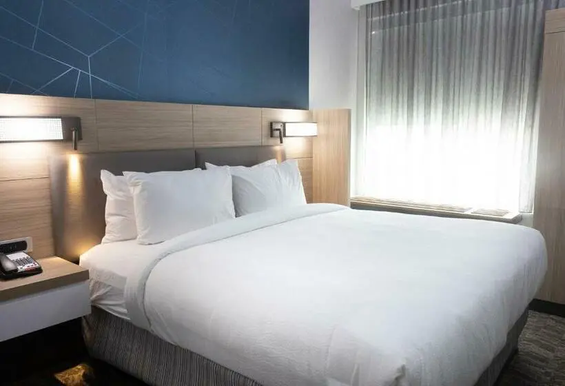 キングサイズベッドのスイートルーム, Springhill Suites By Marriott Slidell