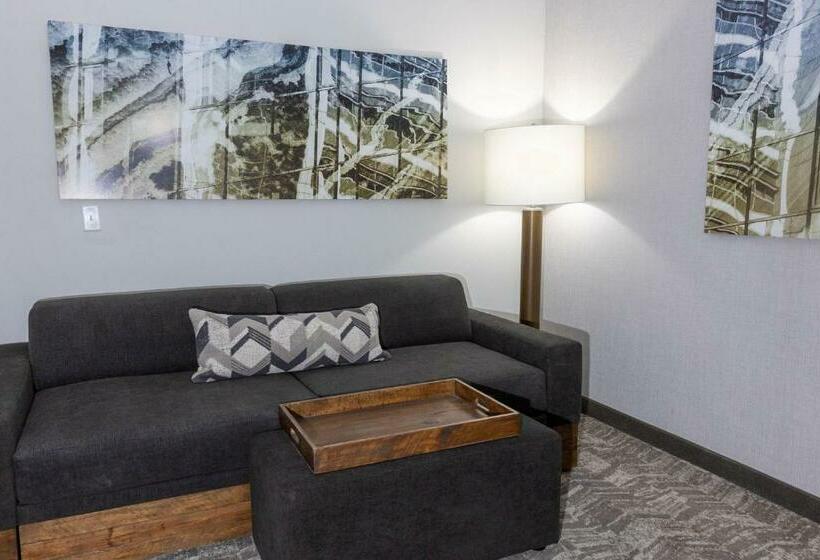 Люкс Кровать Кинг, Springhill Suites By Marriott Slidell