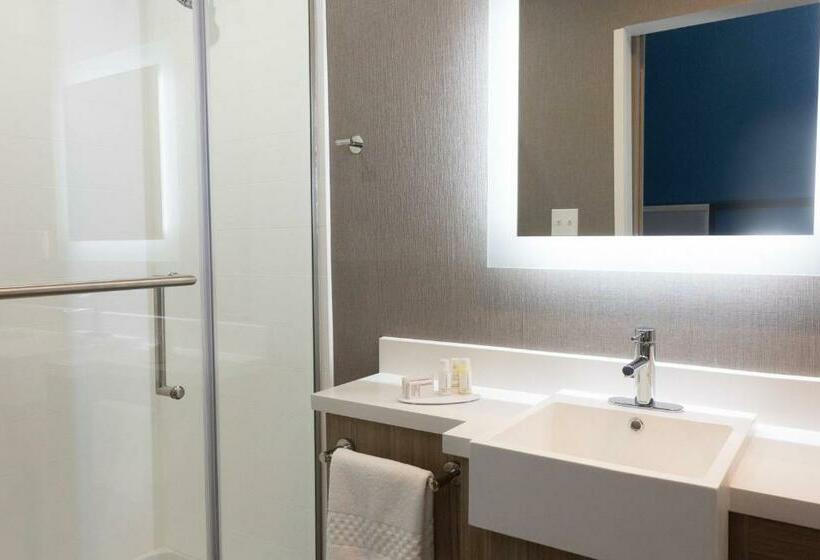 带大床的套房, Springhill Suites By Marriott Slidell