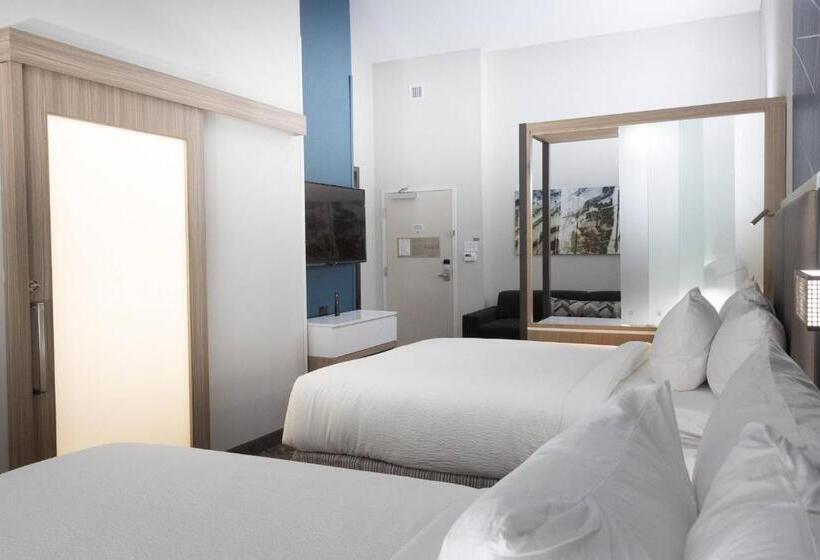 套房, Springhill Suites By Marriott Slidell