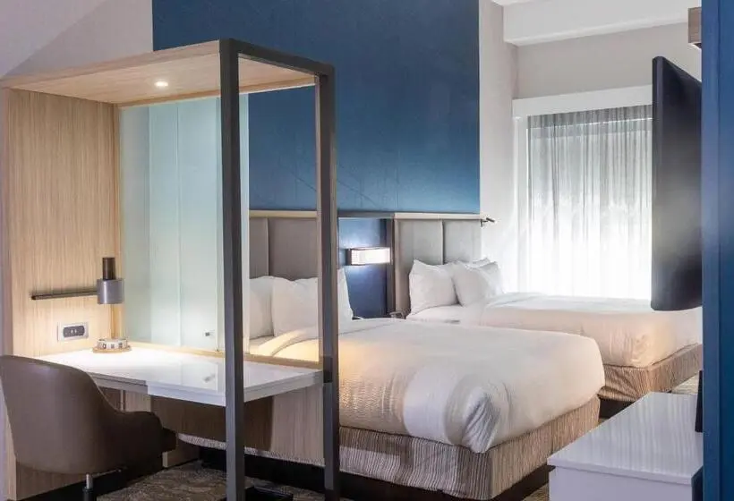 身障者適用スイートルーム, Springhill Suites By Marriott Slidell