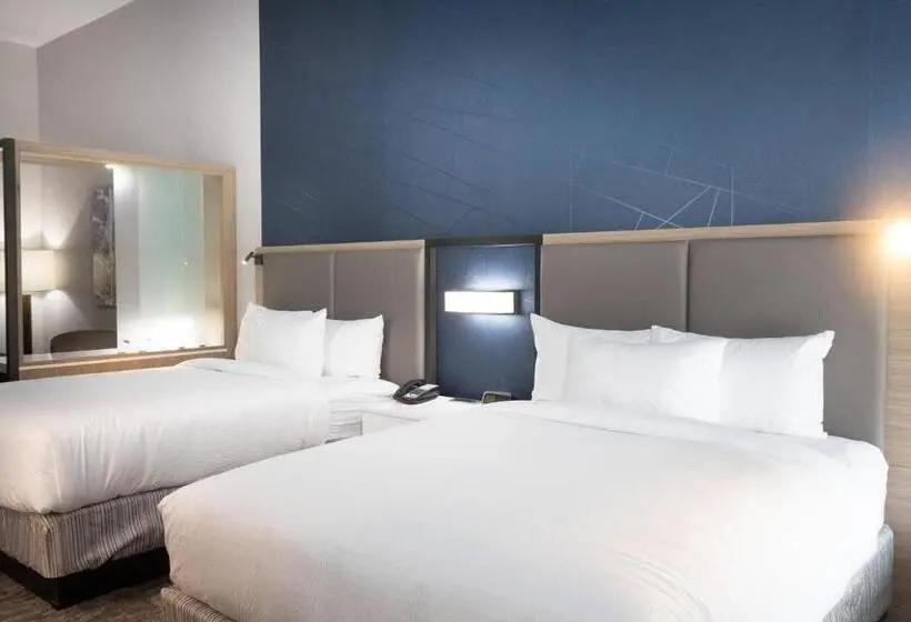 身障者適用スイートルーム, Springhill Suites By Marriott Slidell