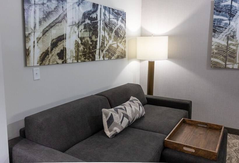 Люкс Адаптированный для Инвалидов, Springhill Suites By Marriott Slidell