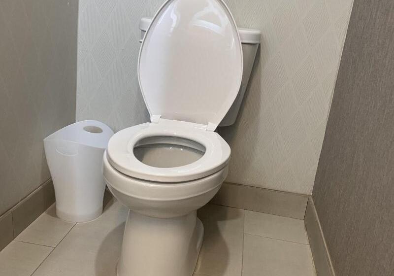 带大床的套房, Springhill Suites By Marriott Slidell