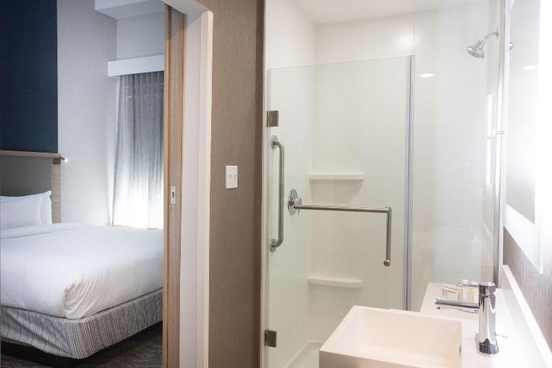 带大床的套房, Springhill Suites By Marriott Slidell