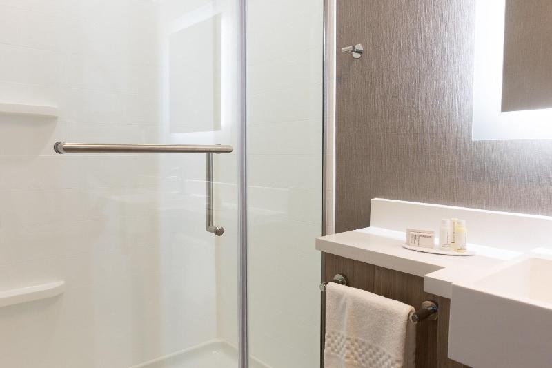 Люкс Кровать Кинг, Springhill Suites By Marriott Slidell