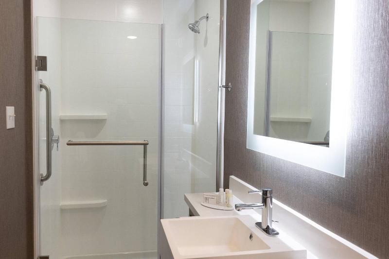 带大床的套房, Springhill Suites By Marriott Slidell