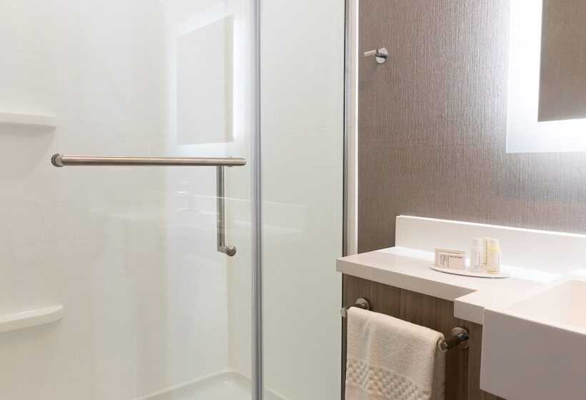 套房, Springhill Suites By Marriott Slidell