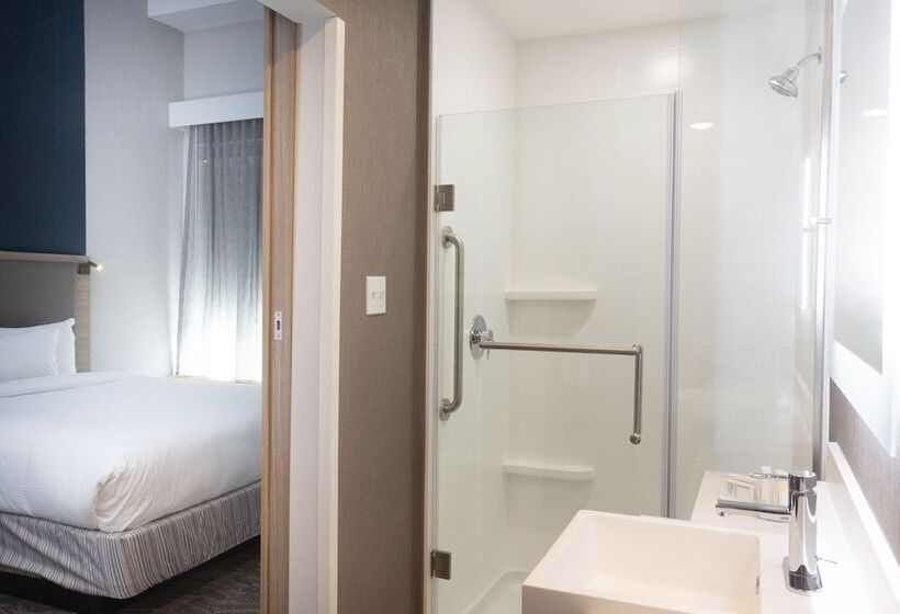 套房, Springhill Suites By Marriott Slidell